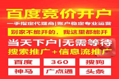 SEM广告优化：成功案例与策略分享